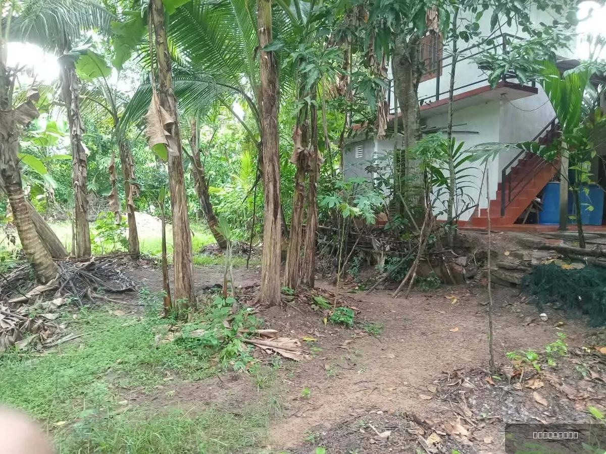 25 Perches Bare Land for Sale in Matara